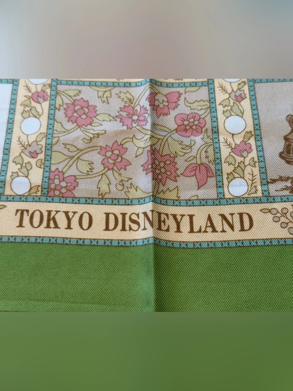 Tokyo Disneyland rare collector’s